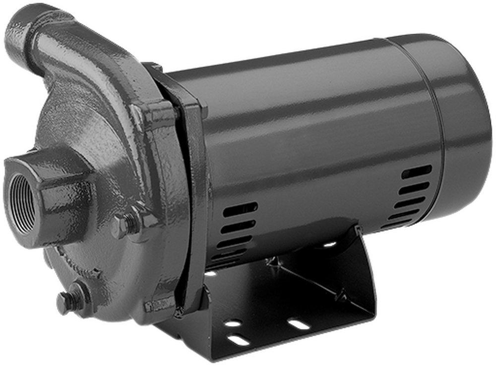 Sta-Rite Industries Self Priming Centrifugal Pump 