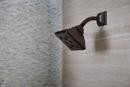 Brizo Venetian Bronze Shower Arm and Flange 