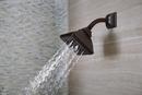 Brizo Venetian Bronze Shower Arm and Flange 