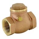 3/4 in. Epoxy Coated Brass FIPS Check Valve