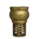 Maass Midwest Brass Foot Valve 