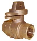 1 in. FIP x FIP Curb Stop with 360 Degree Ball Valve