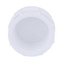 White PVC Schedule 40 FPT Cap 