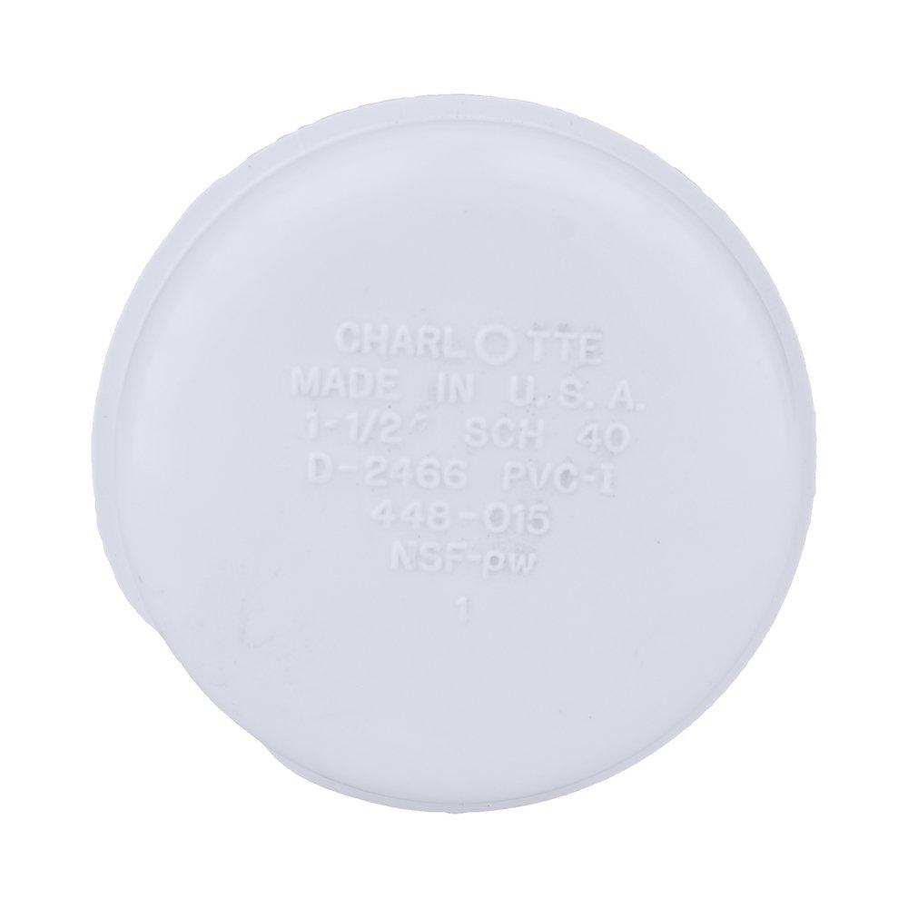 White PVC Schedule 40 FPT Cap 