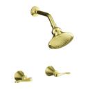 2.5 gpm Bath and Shower Trim Kit with Double Lever Handle in Vibrant Polished Brass