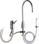 Chicago Faucets Polished Chrome Single Lever Handle Hot and Cold Water Faucet 