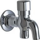 Metering Handle Water Filter Faucet in Polished Chrome