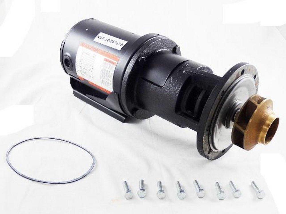 Laars Centrifugal Pump 