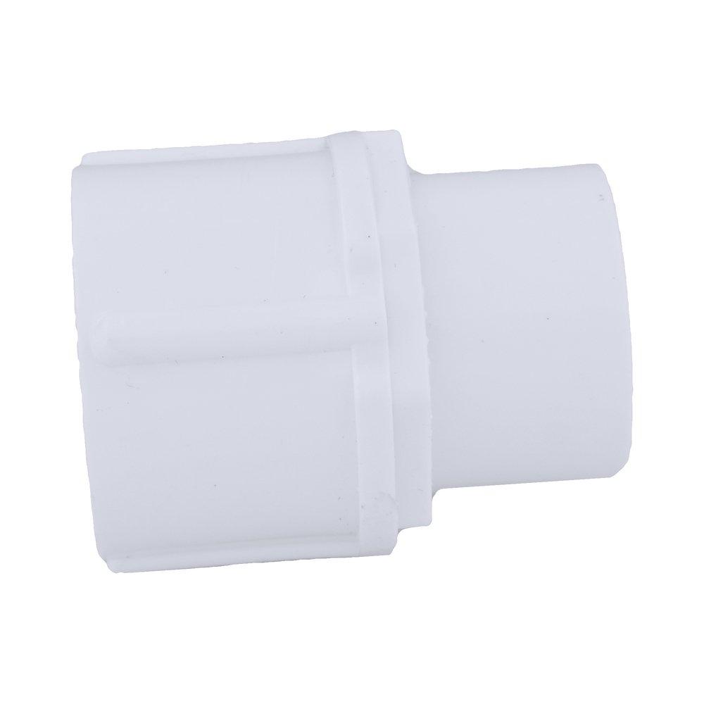 White PVC Schedule 40 Female Adapter 