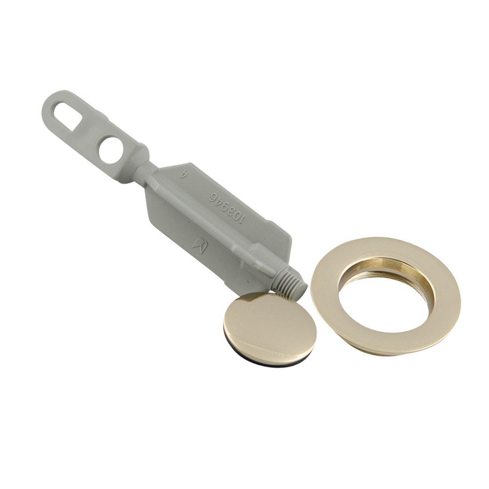 Moen Drain Plug and Seat Polished Brass | Ferguson