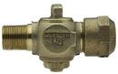 2 x 2 in. MIP x CTS Compression Corporation Brass Stop