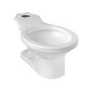 Round Toilet Bowl in White