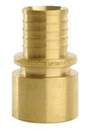 Sioux Chief MSWT x Female Sweat Straight Adapter 