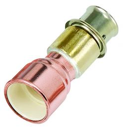 1 in. Brass PEX Expansion x 1 in. CPVC Socket Weld Adapter