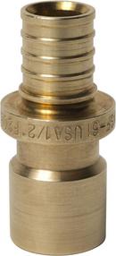 3/4 in. Brass PEX Expansion x 3/4 in. Female Sweat Adapter