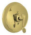 Pressure Balancing Valve Trim with Single Lever Handle in Vibrant Polished Brass