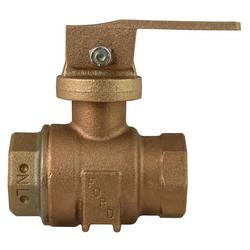 1 in. FIPT Ball Valve Curb Stop