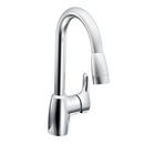 Single Handle Pull Down Kitchen Faucet in Polished Chrome