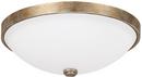 14-3/4 in. 3-Light Ceiling Fixture in Sable