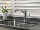 Delta Faucet Arctic Stainless Single Handle Pull Out Kitchen Faucet 