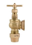 Ford Meter Box 3/4 in. Grip Joint x Meter Yoke Valve 