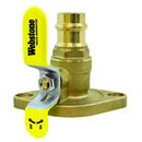 1 in. Forged Brass and Steel Uni-flange Ball Valve with Detachable Rotating Flange