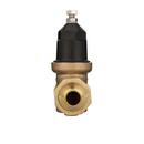 Zurn Wilkins 400 psi Cast Bronze Double Union FNPT x Male Barb PEX Pressure Reducing Valve 