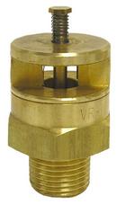 3/4 in. Brass Threaded 200# 250 Relief Valve