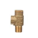 1/2 in. Cast Bronze MNPT x FNPT 125# 210 Relief Valve