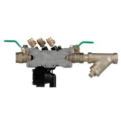 3/4 in Reinforced Nylon FPT Reduced Pressure Principle Assembly with Quarter-Turn Ball Valves