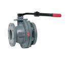 Watts Cast Iron Cast Iron Full Port Flanged 125# Ball Valve 
