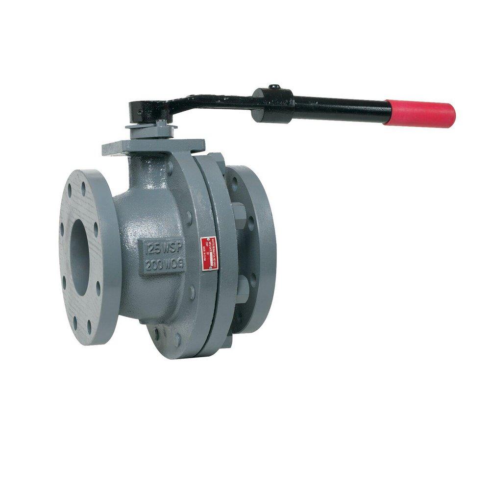 Watts Cast Iron Cast Iron Full Port Flanged 125# Ball Valve 