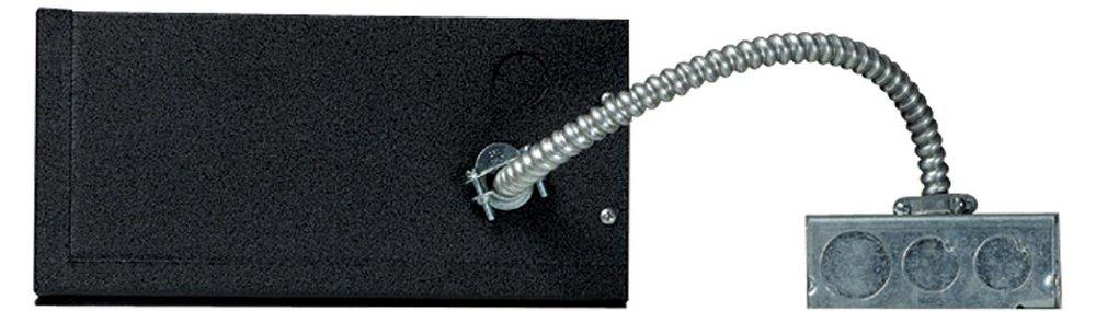 Visual Comfort & Co. Architectural Black Rail Remote Transformer Ceiling Light 