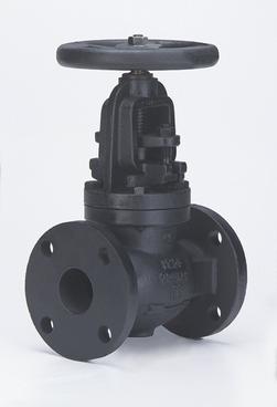 6 in. Cast Iron Flanged Globe Valve