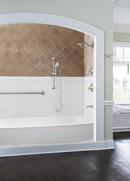 Moen Brushed Nickel Multi Function Hand Shower 