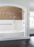 Moen Brushed Nickel Multi Function Hand Shower 