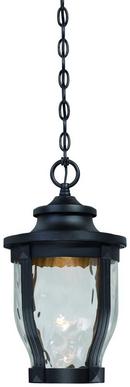 10W 1-Light Chain Hung Lantern in Black