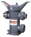 2 in. Plastic Socket Weld and FNPT Valve Strainer 