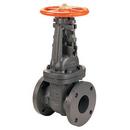 2-1/2 in. Cast Iron Flanged Pre-Grooved Bolted Bonnet Outside Stem and Yoke Gate Valve