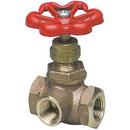 1/4 in. Bronze Threaded Globe Valve