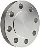 3 in. 300# SS 316L RF Blind Flange Stainless Steel Raised Face