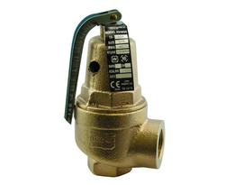 1-1/4 x 1-1/2 in. Bronze FNPT 50# 250 Relief Valve