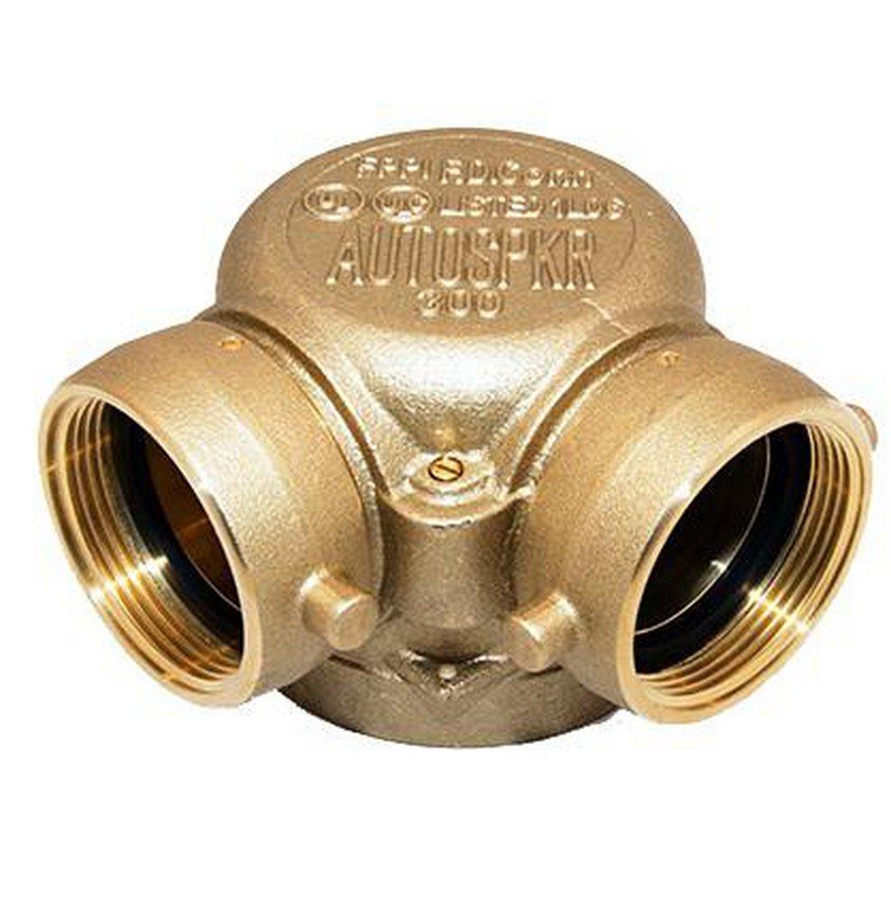 FPPI® NST Fire Department Connection with Double Clapper Siamese 