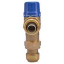 SharkBite&reg; Natural Brass SharkBite with Connector 