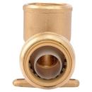SharkBite&reg; Natural Brass Push x FNPT Brass 90 Degree Elbow 