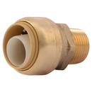 SharkBite&reg; Push x MNPT Brass Adapter 