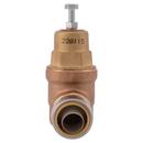 SharkBite&reg; Natural Brass Direct Connector 