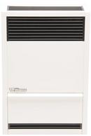 Williams Furnace White Direct Vent Commercial Furnace 