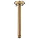 1/2 x 10 x 2-1/2 in. Shower Arm and Flange in Brilliance® Champagne Bronze
