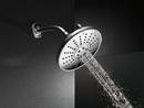 Delta Faucet Brilliance&reg; Champagne Bronze Multi Function Full Body, Full Spray with Massage and Massaging Showerhead 